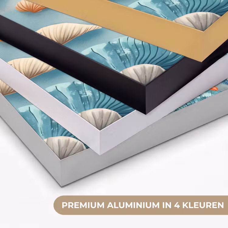 Art Frame - Zeesterren - Schelpen - Illustratie - Zand — 2