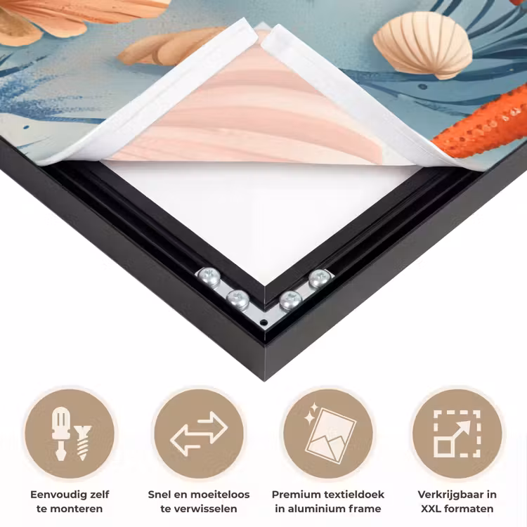 Art Frame - Zeesterren - Schelpen - Illustratie - Zand — 4