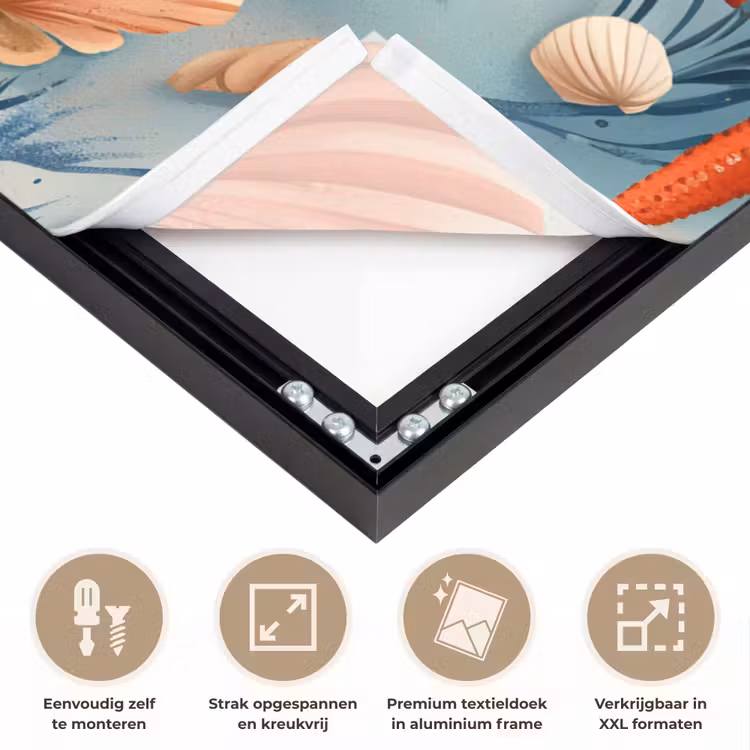 Art Frame - Zeesterren - Schelpen - Illustratie - Zand — 8