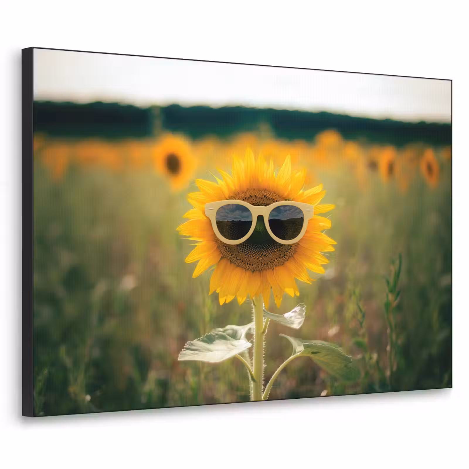 Art Frame - Zonnebloem - Veld - Zonnebril — 1