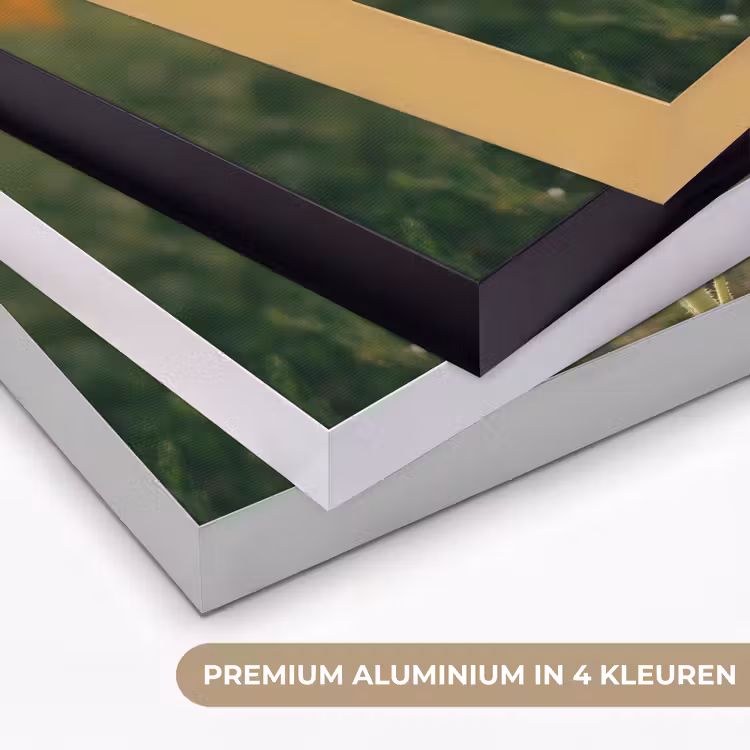 Art Frame - Zonnebloem - Veld - Zonnebril — 2