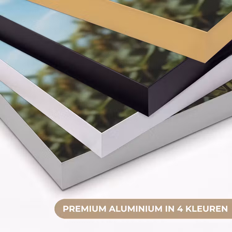 Art Frame - Zonnebloemen - Helderblauwer lucht - Gras — 2