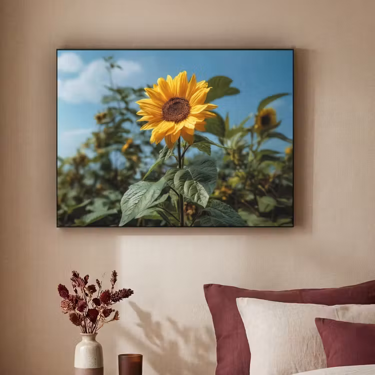 Art Frame - Zonnebloemen - Helderblauwer lucht - Gras — 3