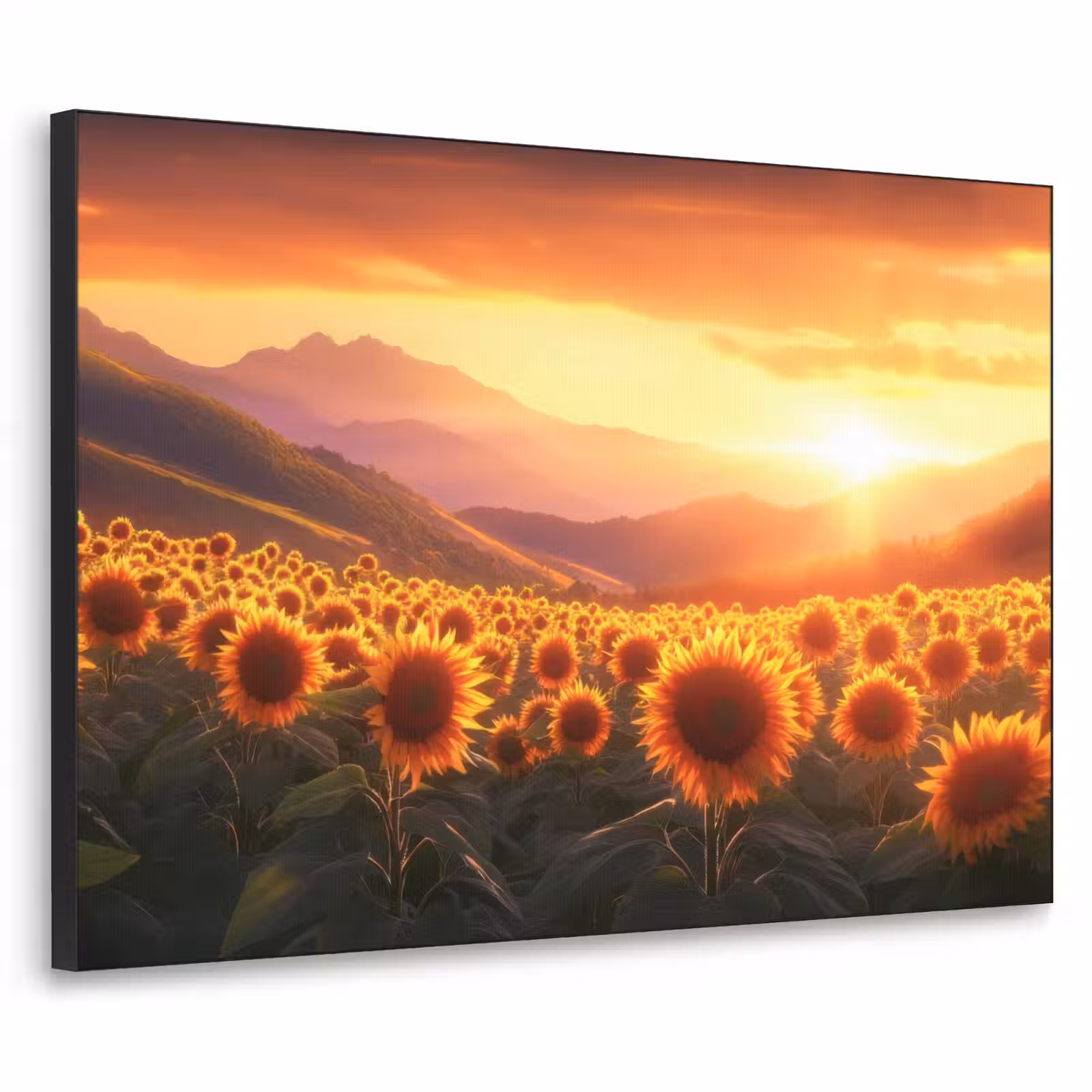 Art Frame - Zonnebloemen - Zonsondergang - Landschap — 1