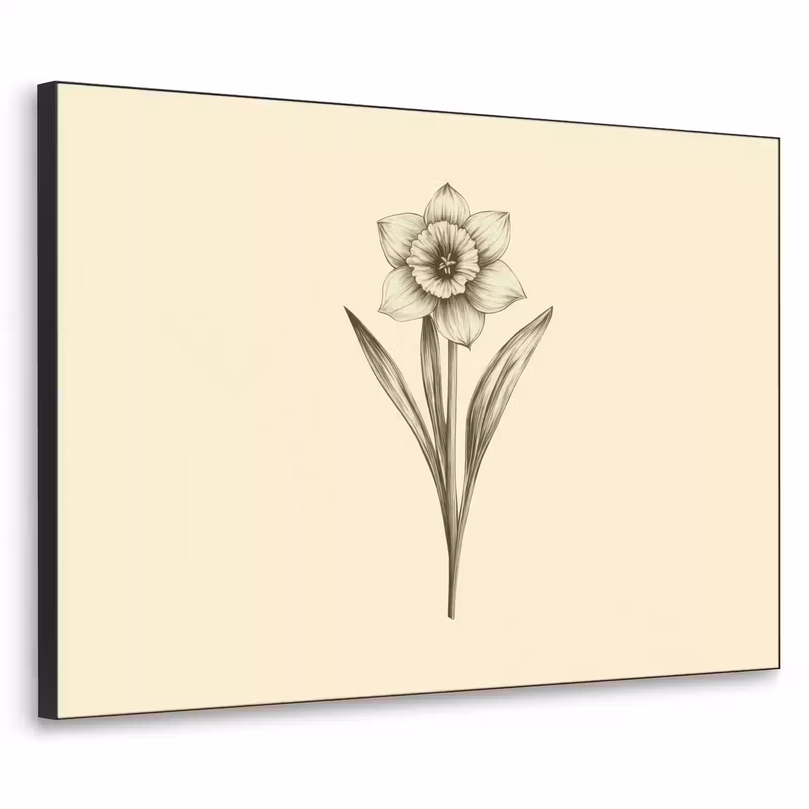 Art Frame - Zwart - Narcis - Illustratie — 1