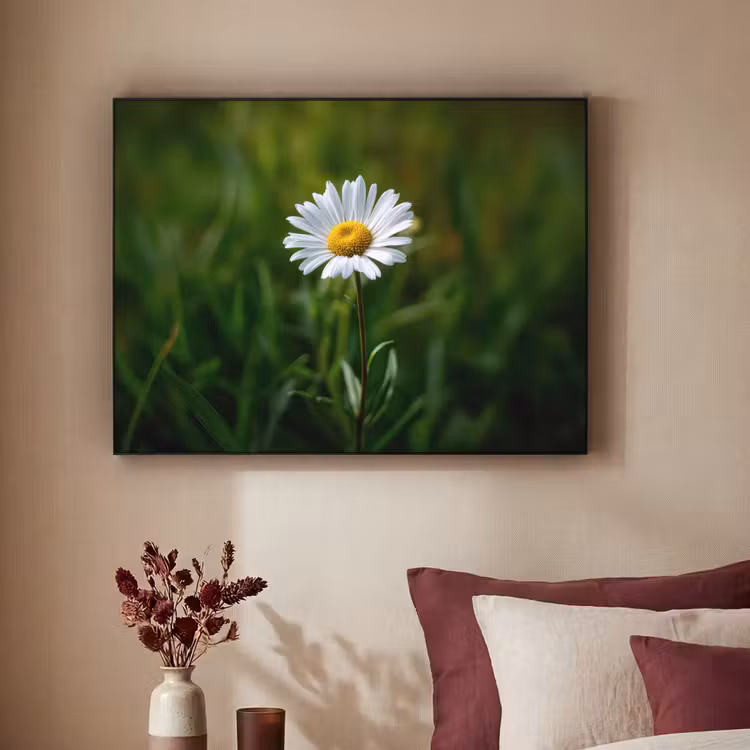 Art Frame - Wit - Madeliefje - Bloem - Gras — 3