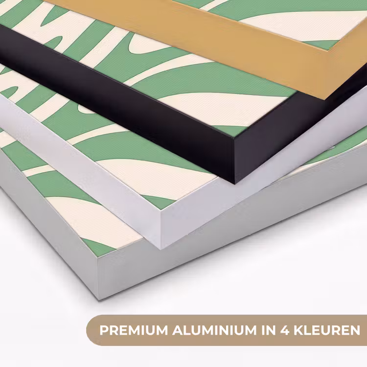 Art Frame - Zebrapatroon - Groen - Retro — 2