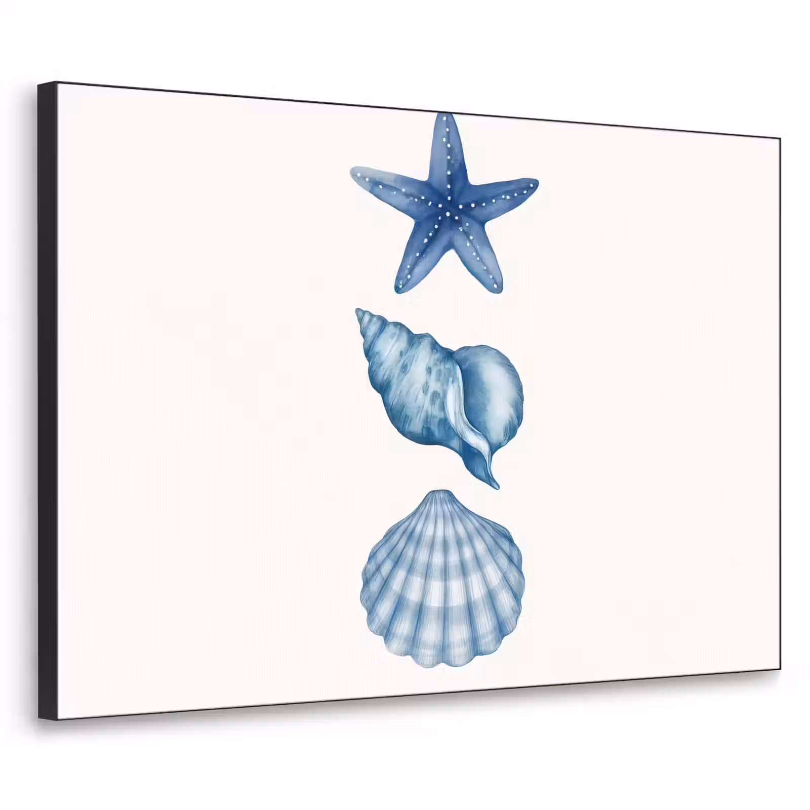 Art Frame - Zeester - Schelpen - Blauw — 1