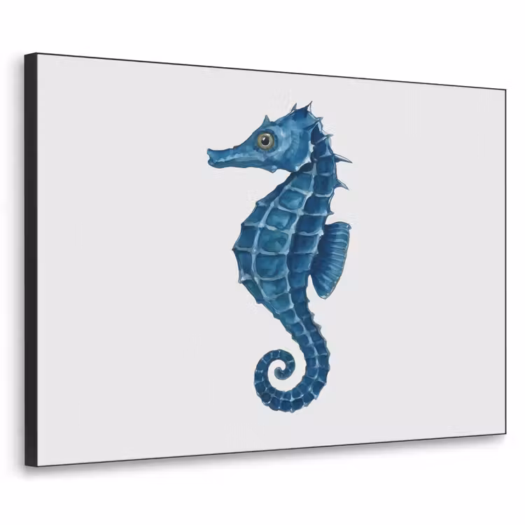Art Frame - Zeepaardje - Staart - Blauw — 1