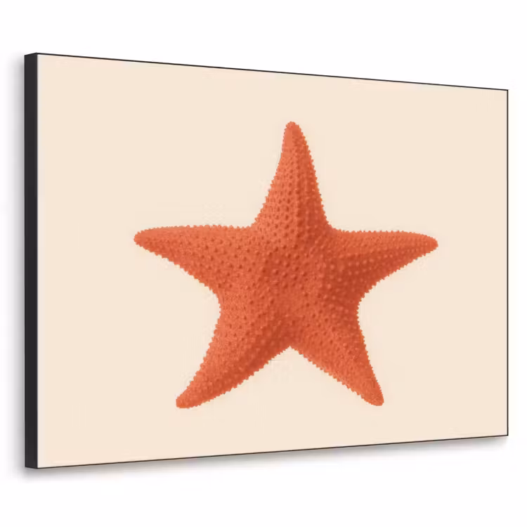 Art Frame - Zeester - Bobbels - Rood — 1