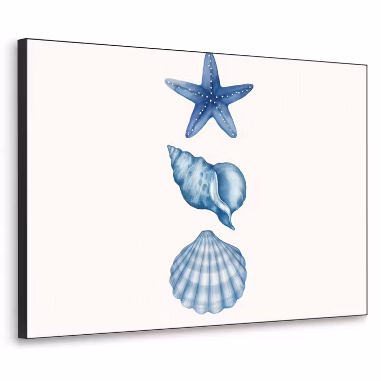 Art Frame - Zeester - Schelpen - Blauw — 1