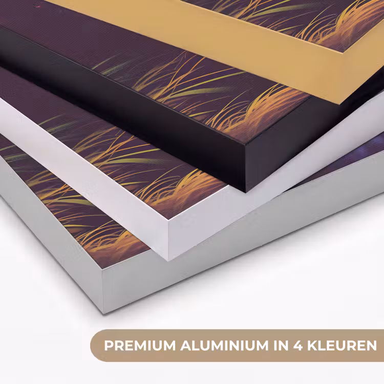 Art Frame - Zon - Geel - Palmbomen - Tropisch — 2