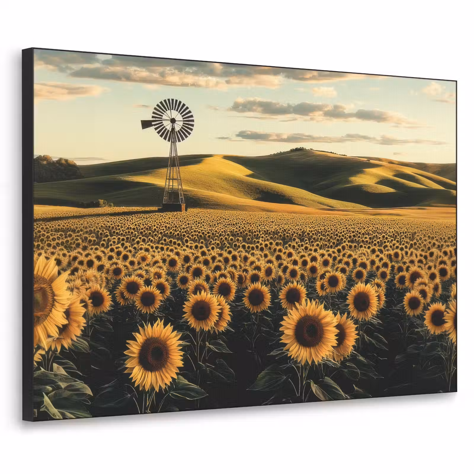 Art Frame - Zonnebloem - Veld - Windmolen — 1