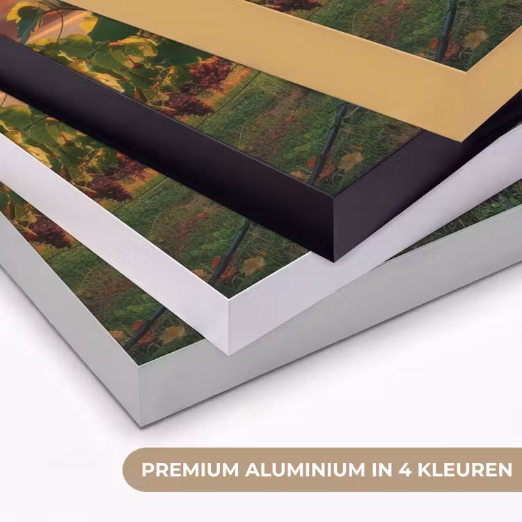 Art Frame - Wijngaard - Druiven - Zonsondergang — 2