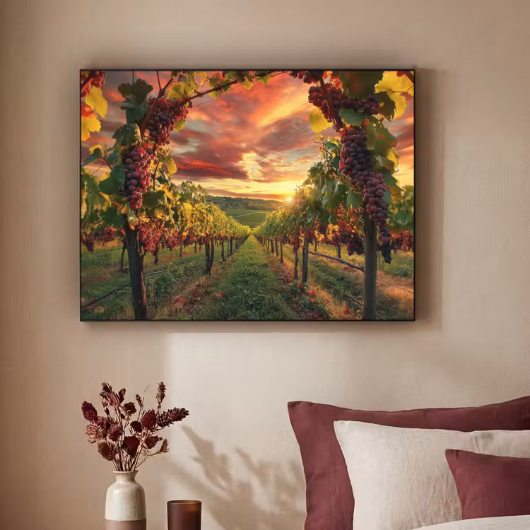 Art Frame - Wijngaard - Druiven - Zonsondergang — 3