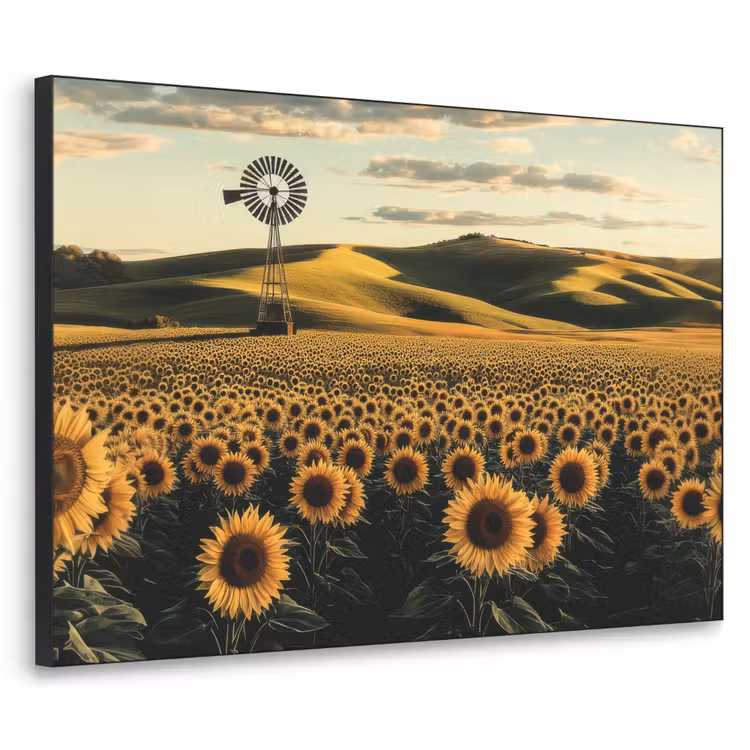 Art Frame - Zonnebloem - Veld - Windmolen — 1