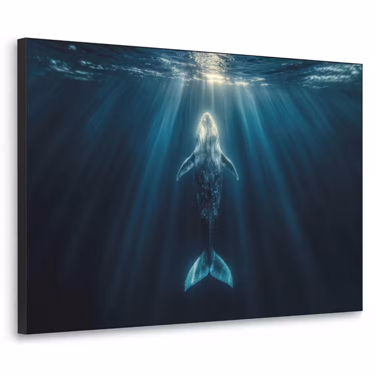 Art Frame - Walvis - Water - Zonnestralen - Blauw — 1