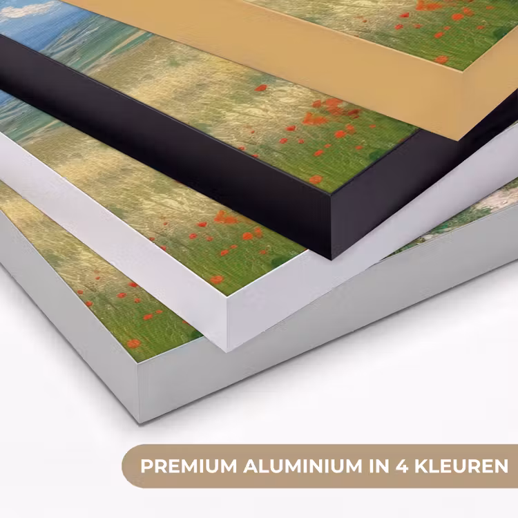Art Frame - Zandpad - Huis - Bomen - Grasveld — 2