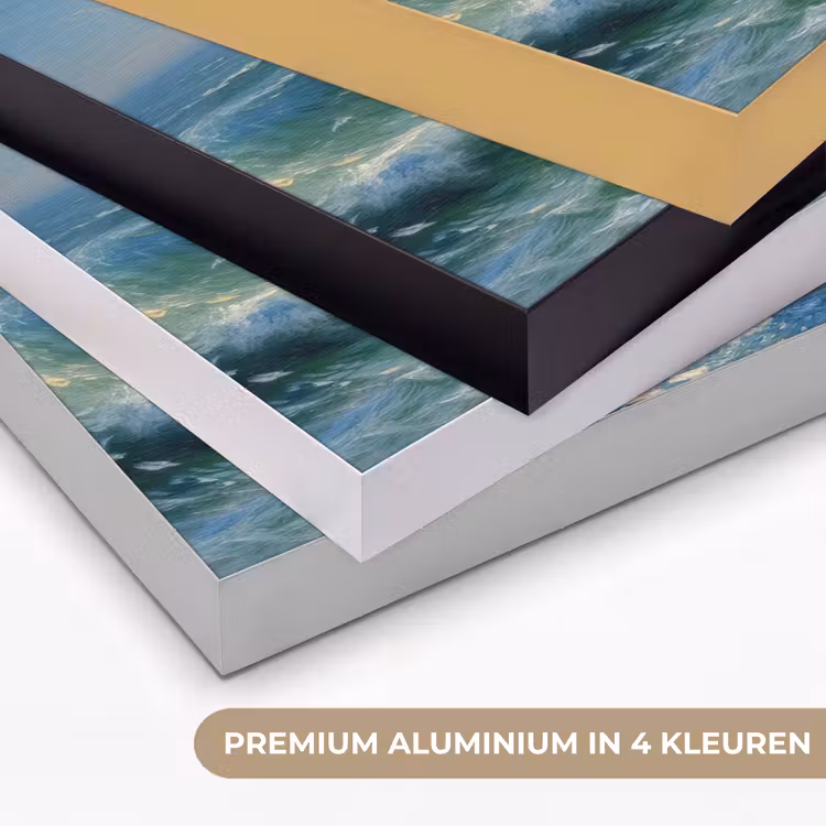 Art Frame - Zee - Golven - Rotsen - Meeuwen — 2