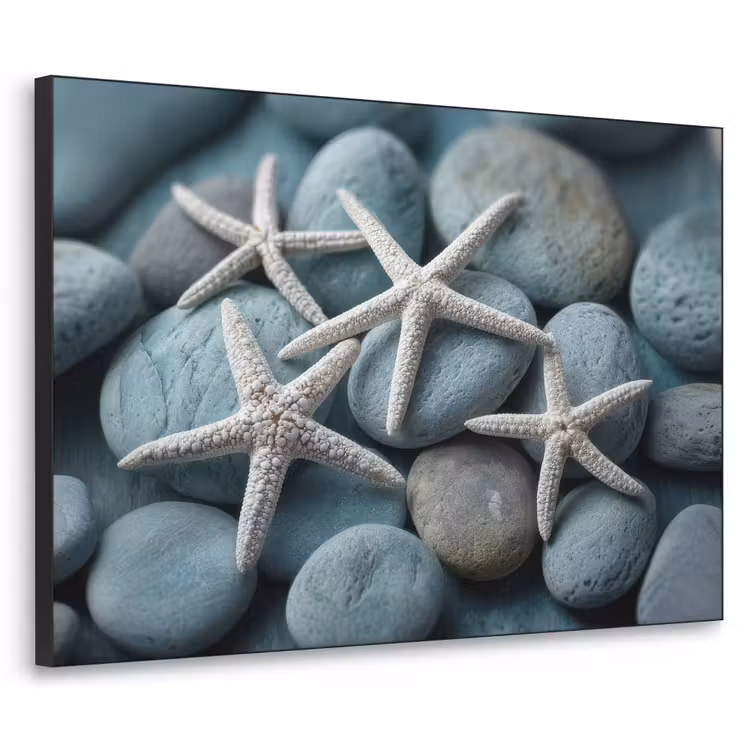 Art Frame - Zeesterren - Stenen - Wit — 1