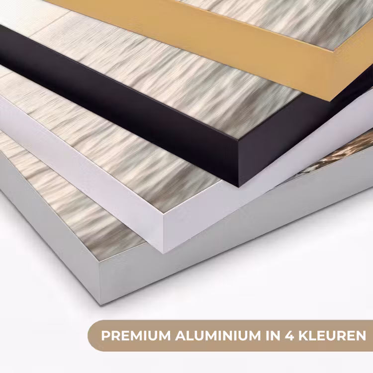Art Frame - Zeilboot - Zee - Beige - Zon — 2
