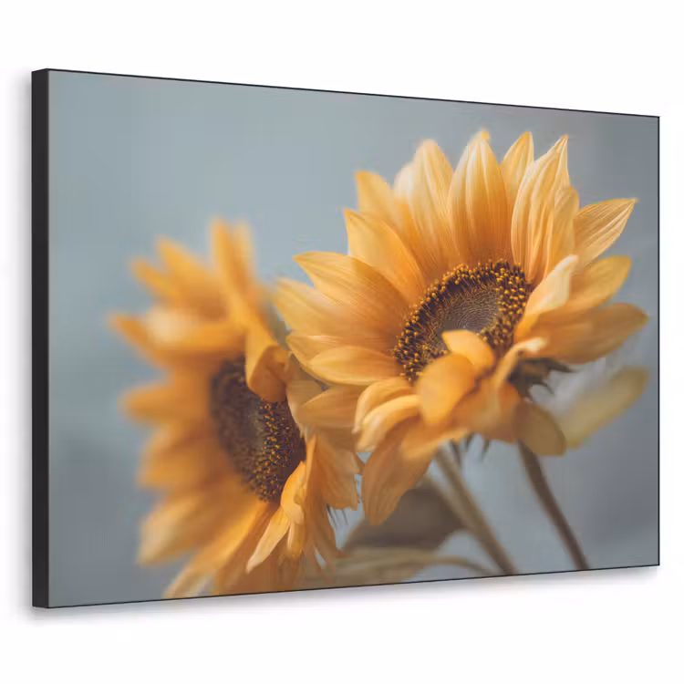 Art Frame - Zonnebloemen - Geel - Wazig — 1