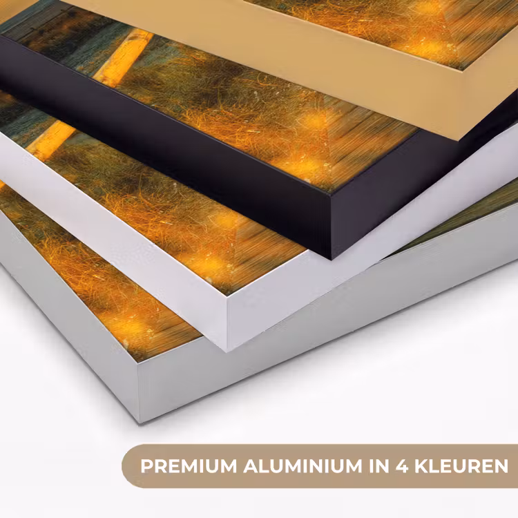 Art Frame - Zon - Strand - Duin - Horizon - Gras - Pad - Oranje — 2