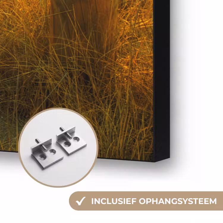 Art Frame - Zon - Strand - Duin - Horizon - Gras - Pad - Oranje — 6