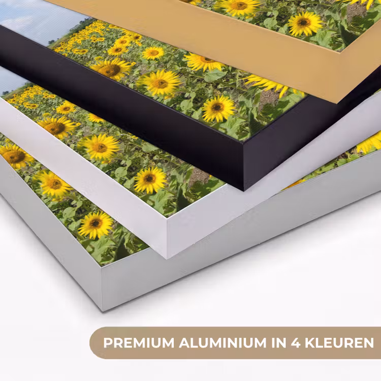 Art Frame - Zonnebloemen - Bloemen - Wolken - Natuur - Geel - Landschap — 2
