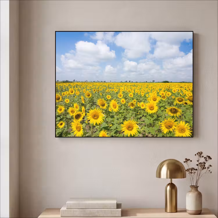 Art Frame - Zonnebloemen - Bloemen - Wolken - Natuur - Geel - Landschap — 5