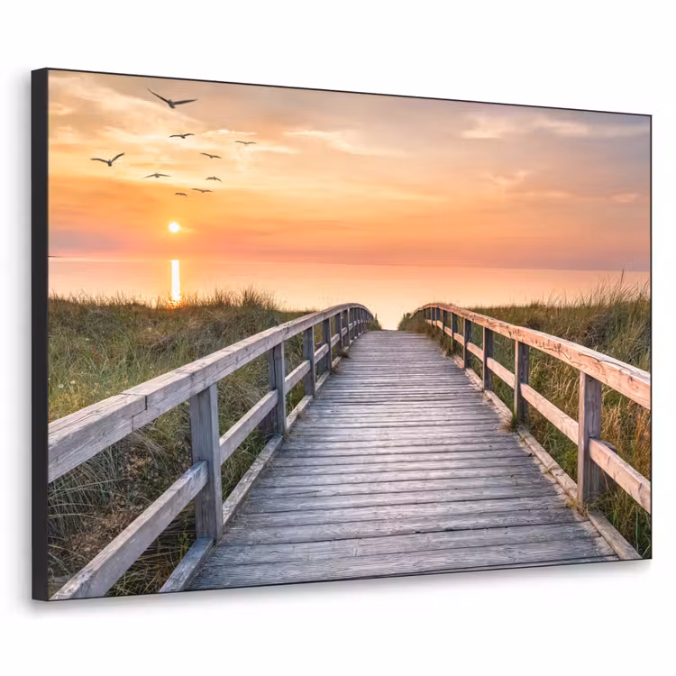 Art Frame - Zonsonderang - Zee - Pad - Gras - Duin - Vogels — 1