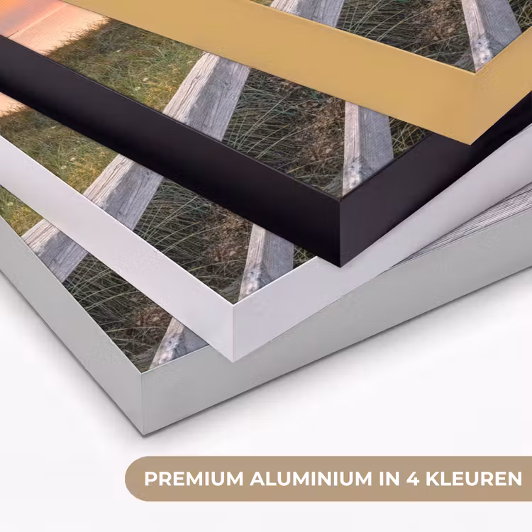 Art Frame - Zonsonderang - Zee - Pad - Gras - Duin - Vogels — 2