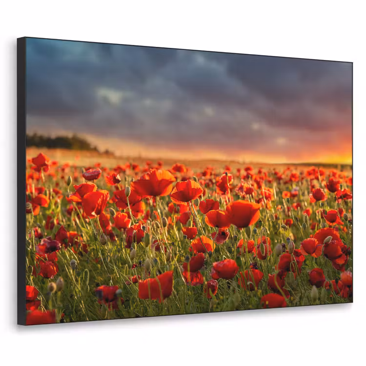 Art Frame - Zonsondergang - Klaprozen - Rood - Bloemen - Veld - Natuur — 1