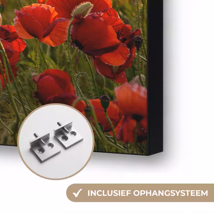 Art Frame - Zonsondergang - Klaprozen - Rood - Bloemen - Veld - Natuur — 6