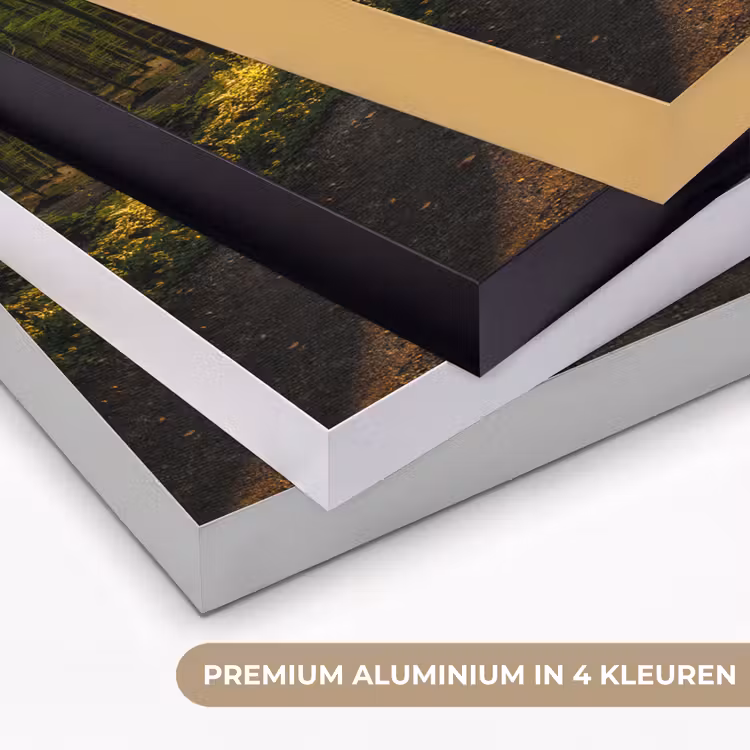 Art Frame - Zon - Bomen - Bos - Landschap - Natuur — 2
