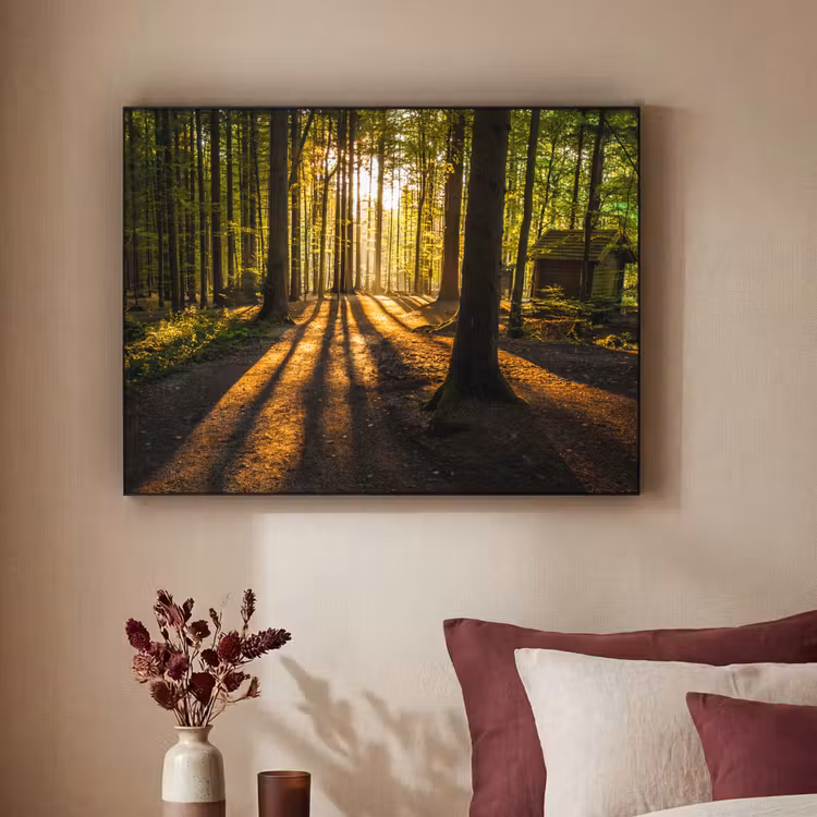 Art Frame - Zon - Bomen - Bos - Landschap - Natuur — 3