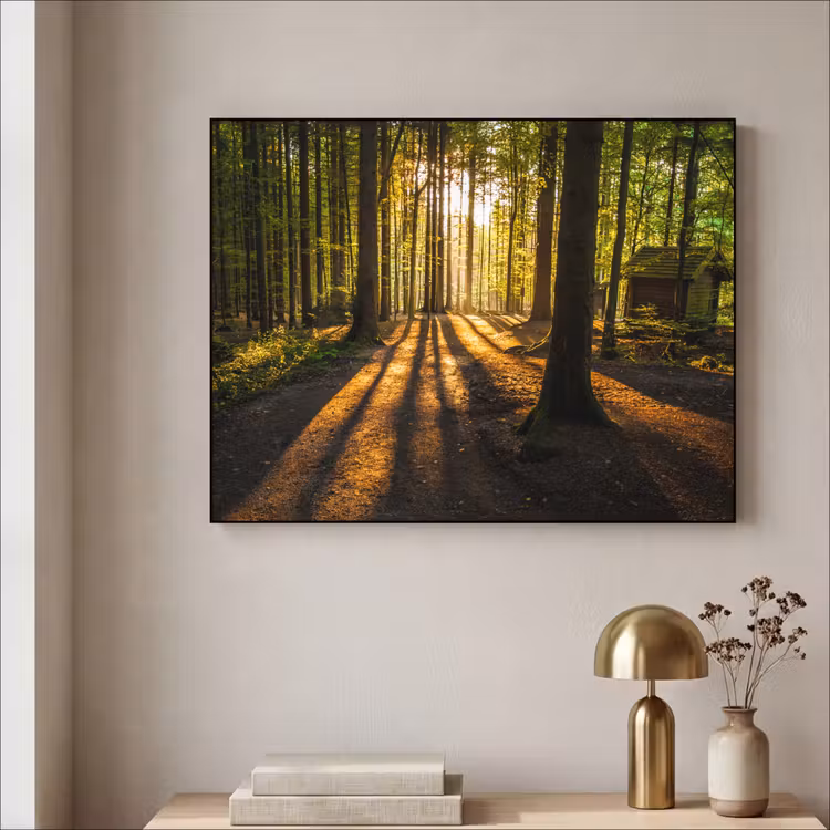 Art Frame - Zon - Bomen - Bos - Landschap - Natuur — 5