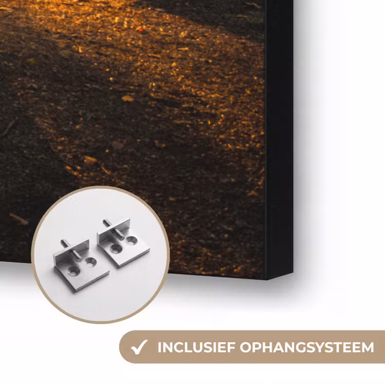 Art Frame - Zon - Bomen - Bos - Landschap - Natuur — 6