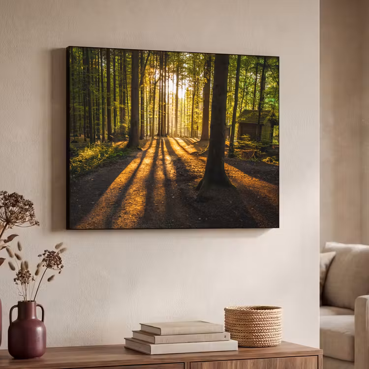 Art Frame - Zon - Bomen - Bos - Landschap - Natuur — 7