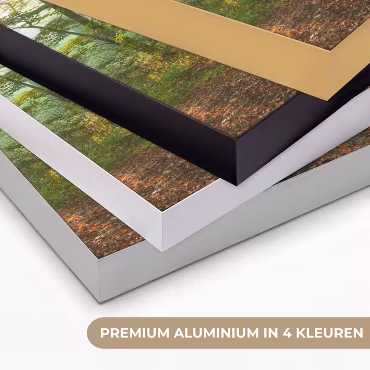 Art Frame - Zon - Bos - Bomen - Natuur - Herfst — 2