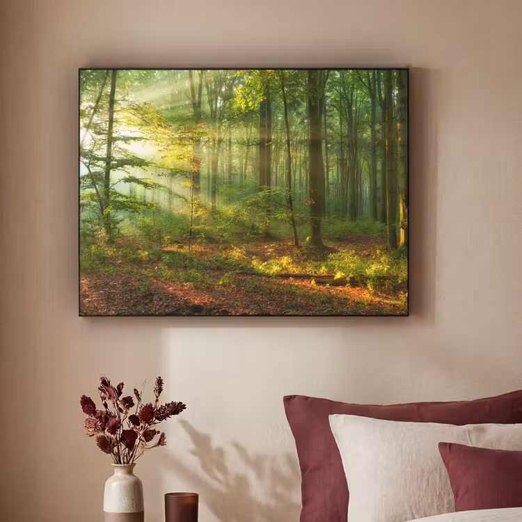 Art Frame - Zon - Bos - Bomen - Natuur - Herfst — 3