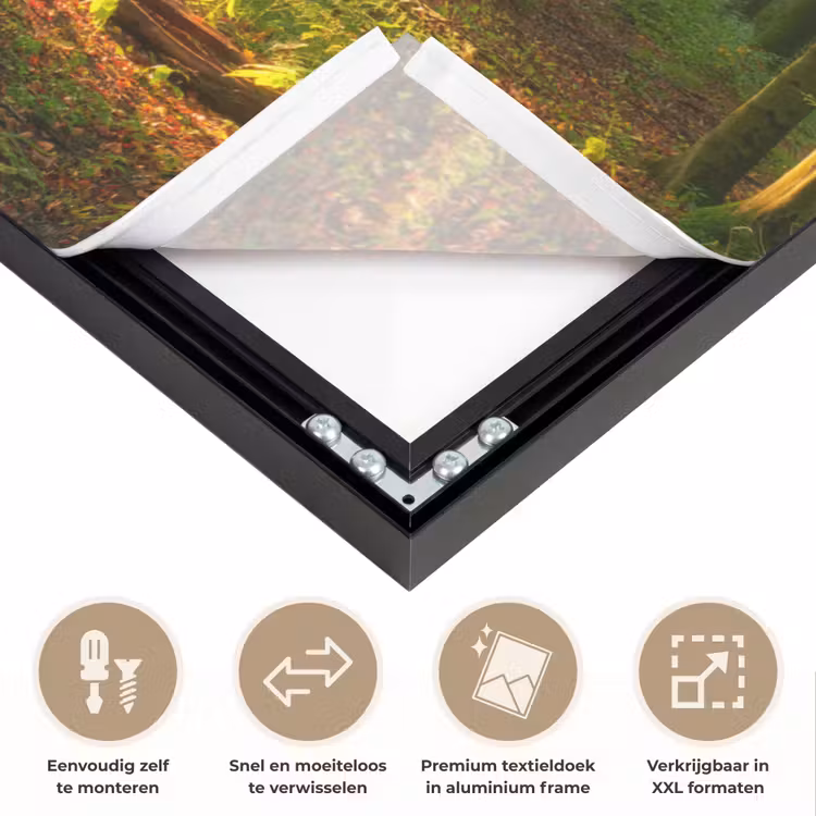 Art Frame - Zon - Bos - Bomen - Natuur - Herfst — 4