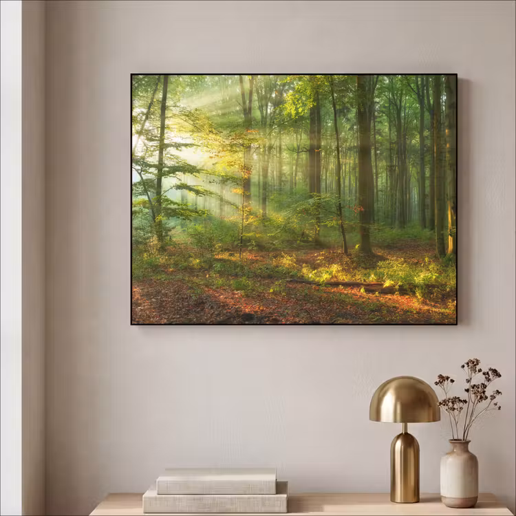 Art Frame - Zon - Bos - Bomen - Natuur - Herfst — 5