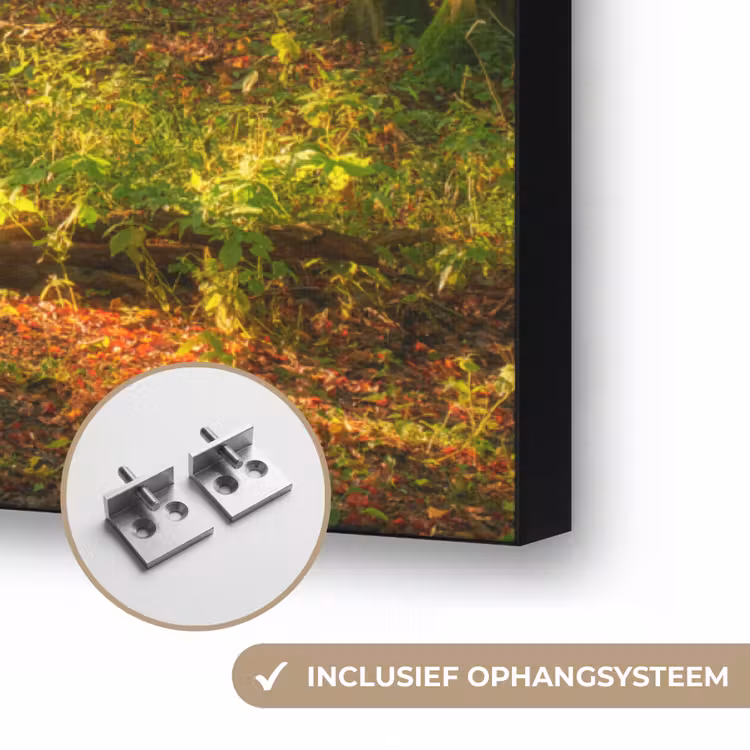 Art Frame - Zon - Bos - Bomen - Natuur - Herfst — 6