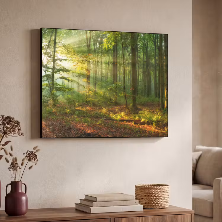 Art Frame - Zon - Bos - Bomen - Natuur - Herfst — 7
