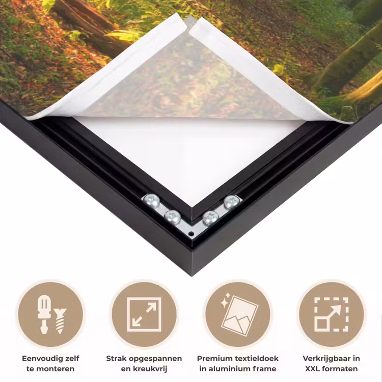 Art Frame - Zon - Bos - Bomen - Natuur - Herfst — 8