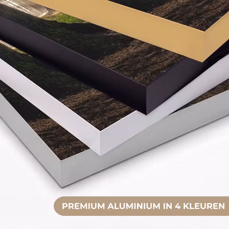 Art Frame - Zon - Takken - Bomen - Bos - Natuur — 2
