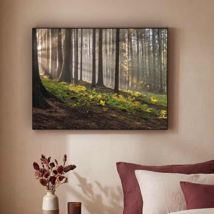 Art Frame - Zon - Takken - Bomen - Bos - Natuur — 3