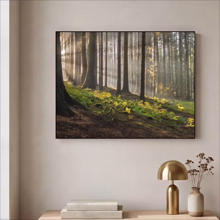 Art Frame - Zon - Takken - Bomen - Bos - Natuur — 5
