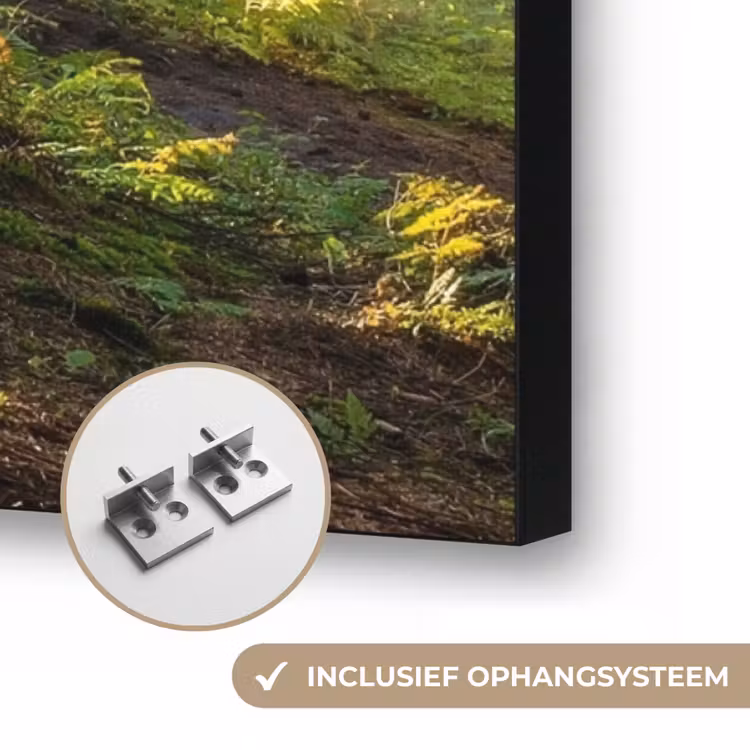 Art Frame - Zon - Takken - Bomen - Bos - Natuur — 6
